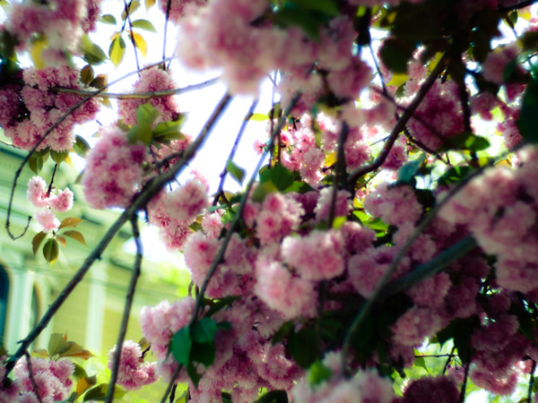 its spring