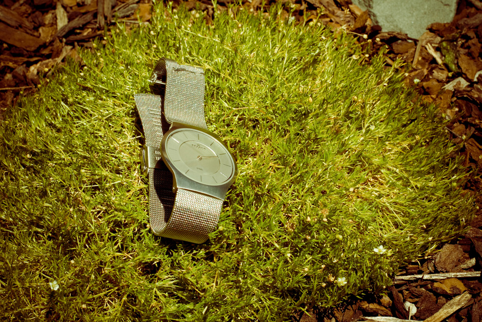 Skagen watches